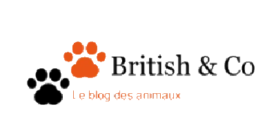 British & Co