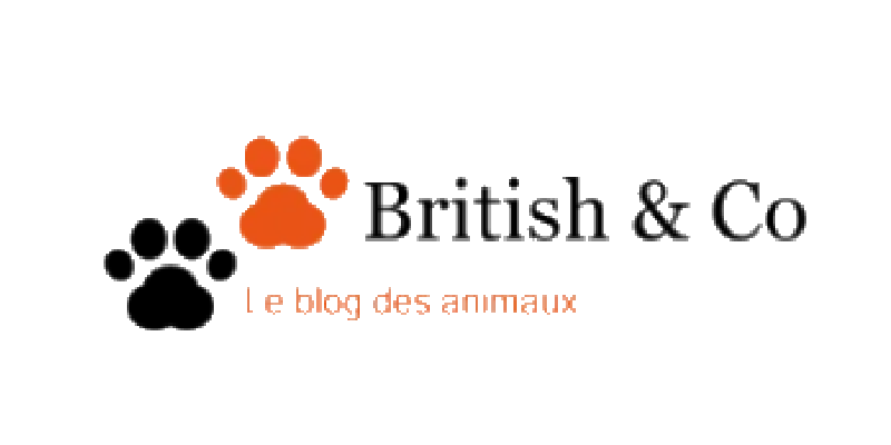 British & Co